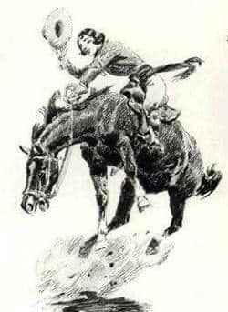 🐎 Comment savoir si votre cheval est inconfortable