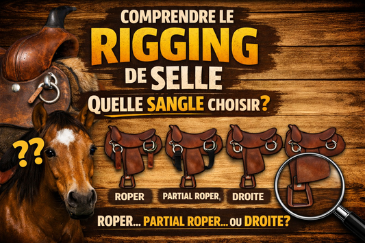 Comprendre le rigging de selle western - quelle sangle choisir