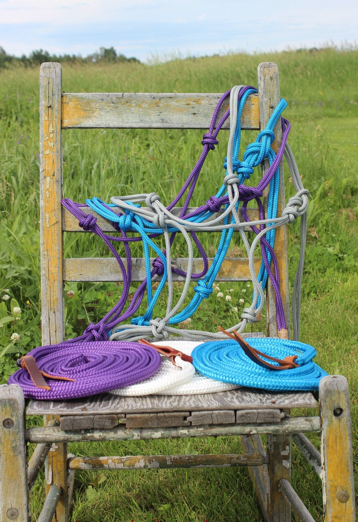 Rope halter