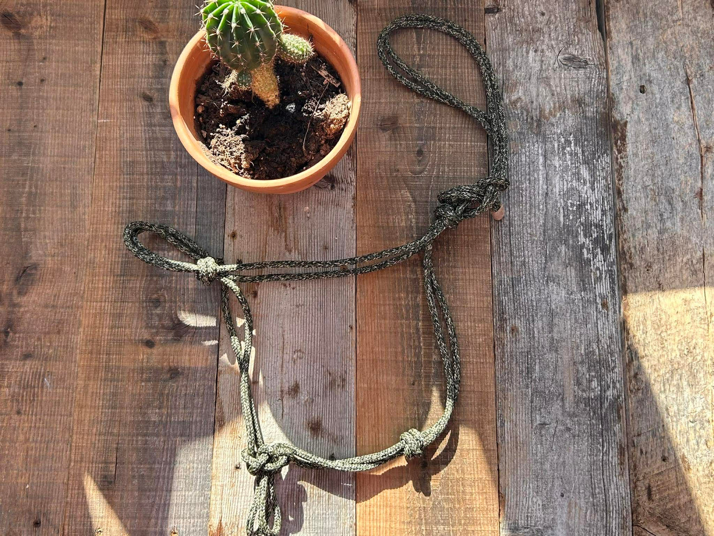 Rope halter