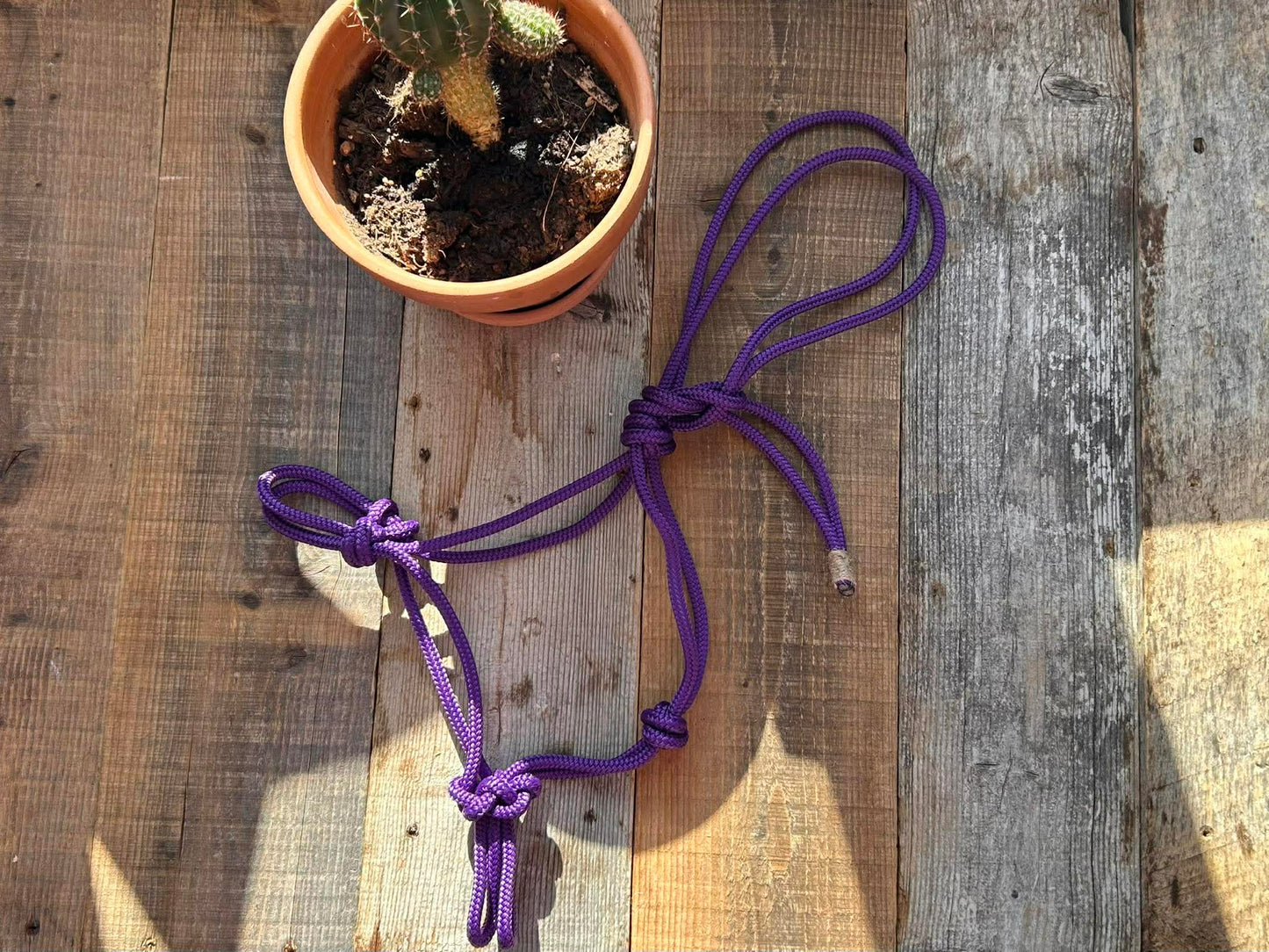 Rope halter
